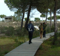 Wanderweg in El Acebuche